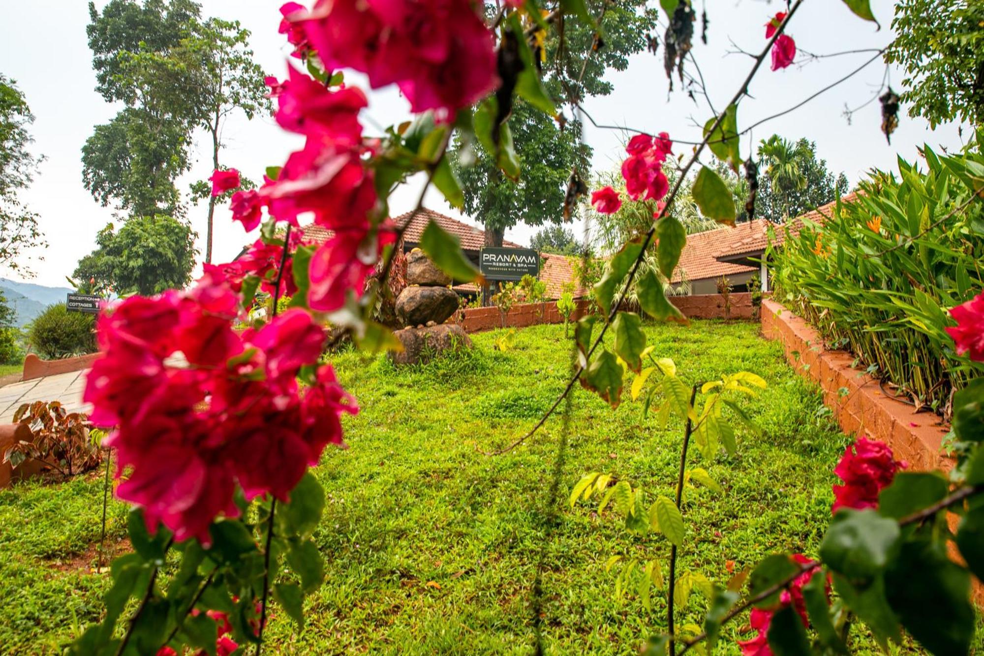 Pranavam Resort & Spa Tariyod 外观 照片