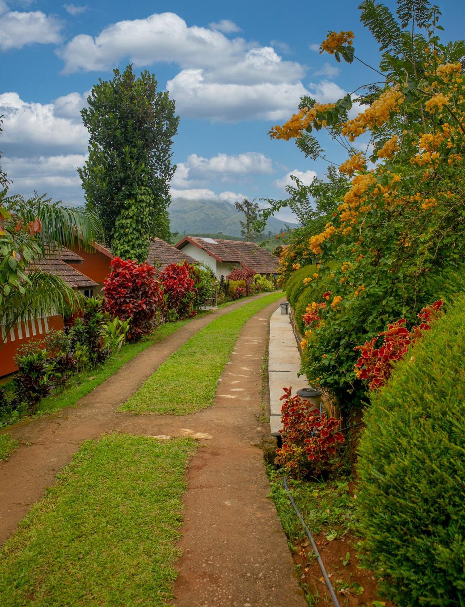 Pranavam Resort & Spa Tariyod 外观 照片